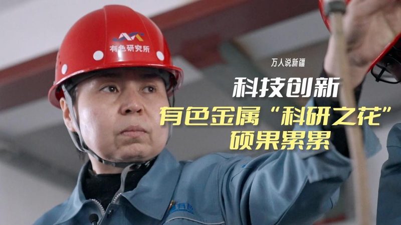 智慧解决方案定制：优缺点全面解析